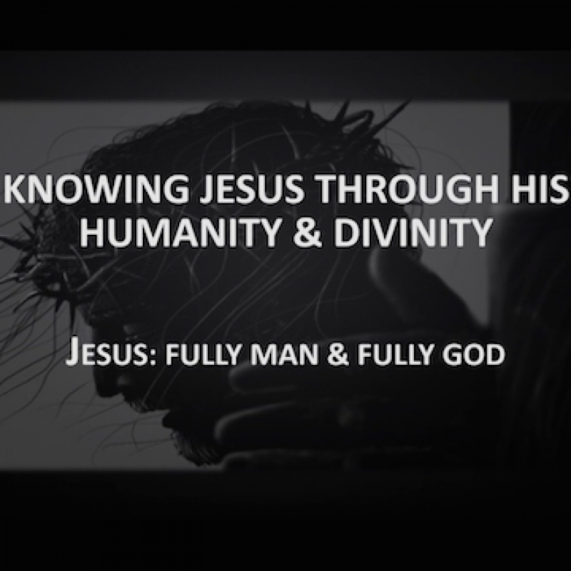 Knowing Jesus Through His Humanity & Divinity (Part 8)