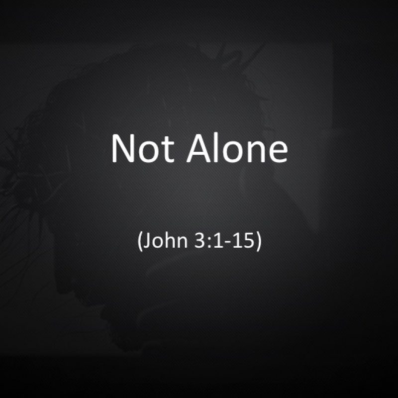 Not Alone