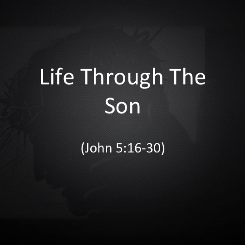 Life Through The Son
