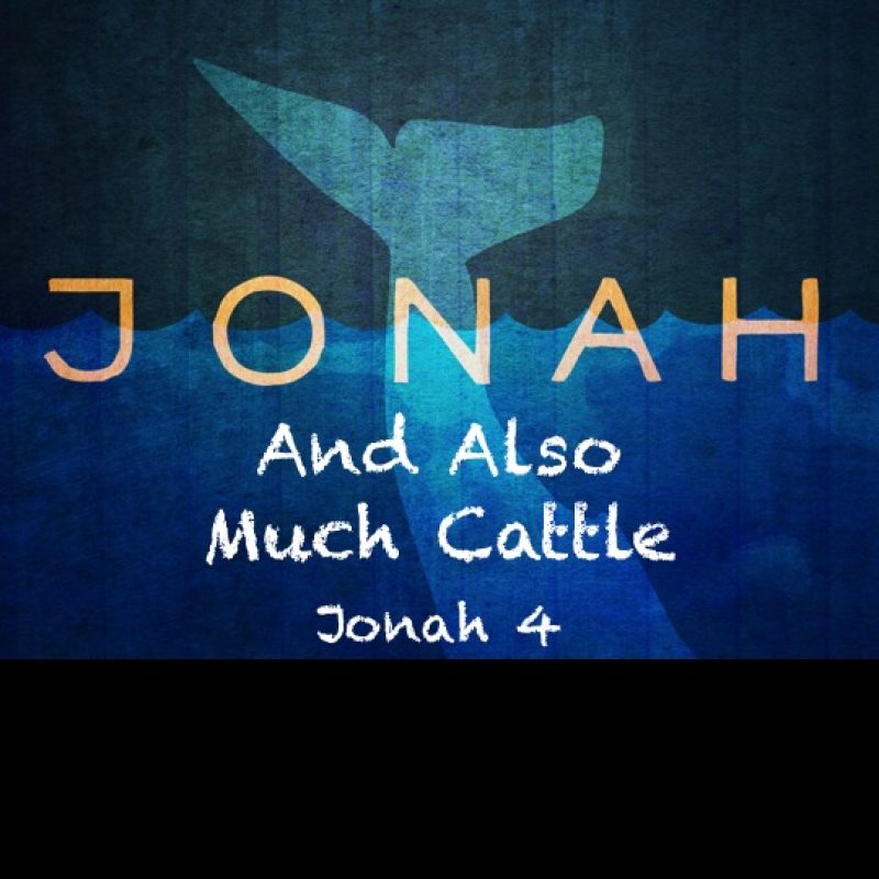Jonah 4: And Also Much Cattle